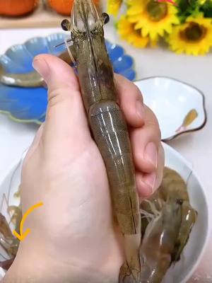 Pisau Buka Punggung Udang Besar