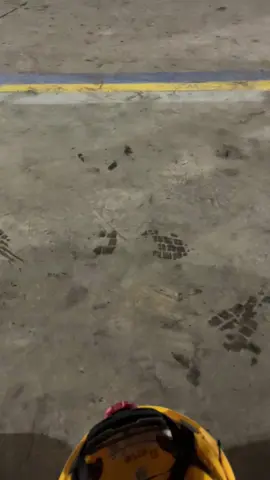 #fyp#storytambang#tambangbatubara#tambanghitz 