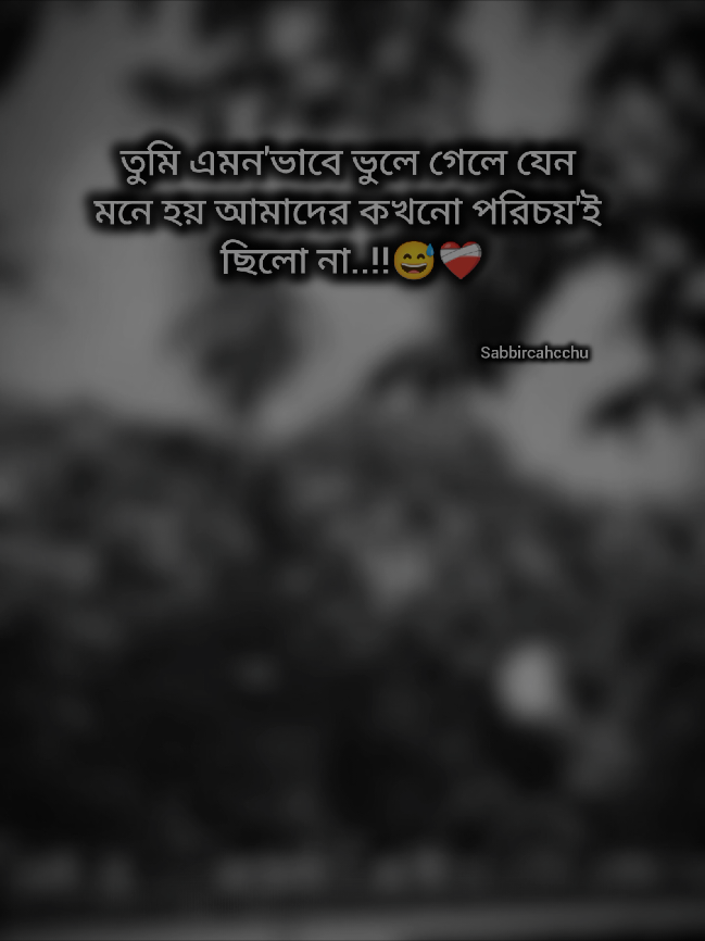 #sabbircahcchu #সাব্বিরচাচ্চু 