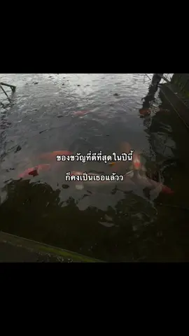 รักเทอ#เธรด  ♥️♥️