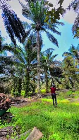 Tetap tenang dan kuasai😁😁🤣🤣 #tkimalaysia🇲🇾🇮🇩 