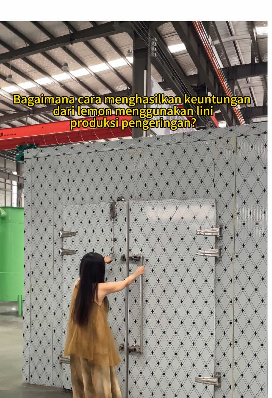 How to create wealth from lemons with dryers #lemon #lemons #dryermachine #dryingmachine #fyppppppppppppppppppppppp 