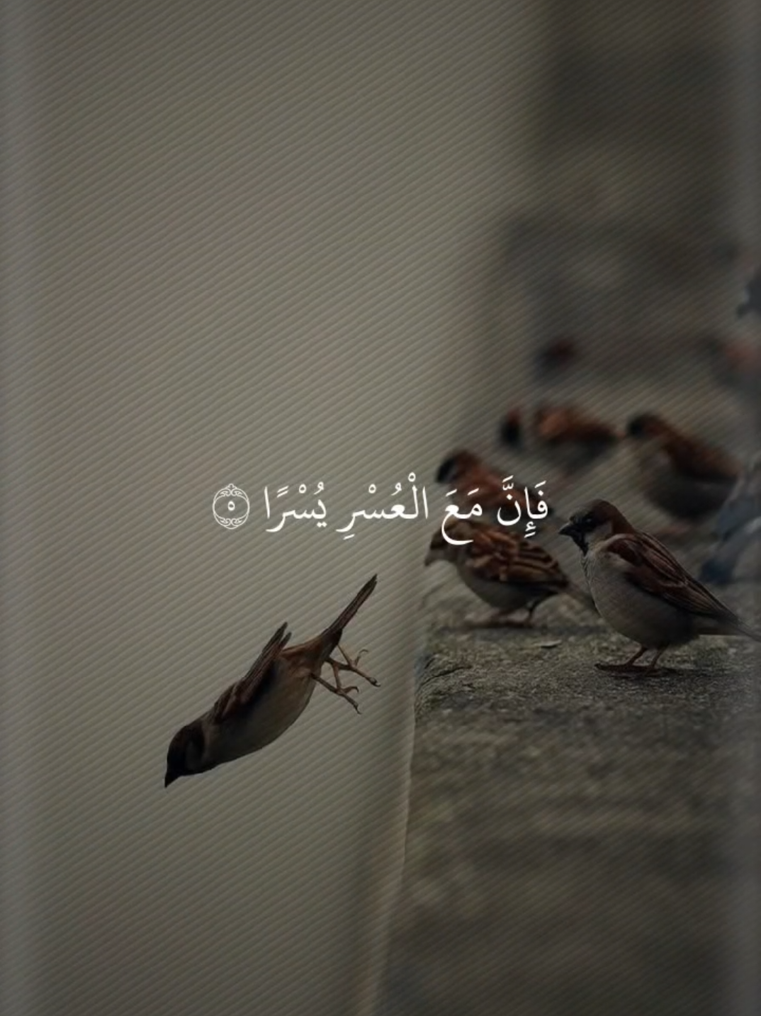 #قران_كريم 