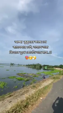 #pyyyyyyyyyyyyy #Bangladesh #📸📸 