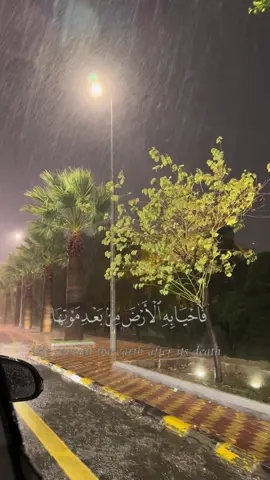 الحمدلله 🤍🤍 #مطر #ابها #قرآن #قرآن_کریم #عبدالرحمن_مسعد 