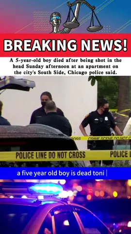 A 5-year-old boy died after being shot in the head Sunday afternoon at an apartment on the city's South Side, Chicago police said. #news #foryou #fpy #breakingnews