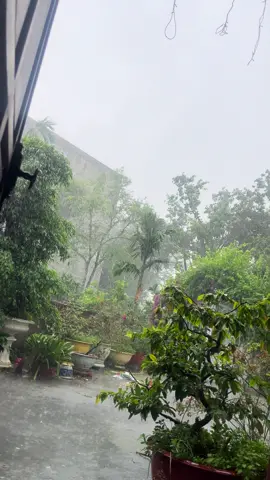 Ngày mưa gió nằm nhà #haiphongcity #nhacuatoi #vedeo #mưa #mưagióbãobùng 