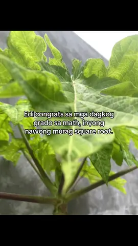#fypppppppppppppp #fypage 