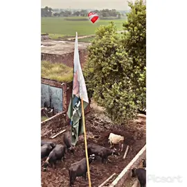 #Hon ahsas Hoya e❤️‍🩹#fyp #100k #❤️سوہناپنجاب #پینڈاں_آل #viral #foryoupage 