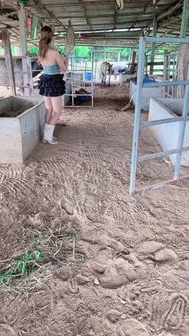 แค่เรียกถึงกับสะดุ้ง#น้องควายฉลาดแสนรู้ #viralvideo #viral?videotiktok💘❤️‍ 
