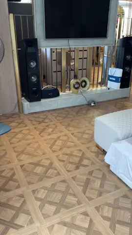 - Sàn hoa văn Versailles luxury vẻ đẹp hoàng gia❤️  - Hoàn thiện bàn giao cho chị chủ nhà tại oceanpark #hoangthegioisan #thegioisan #sangocongnghiep #viraltiktok #decor 