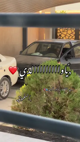 نور عيوني الغالي ربي يحفظه ليا يااارب ❤️‍🔥🫀🫂#المصممه_السكمونتيه #المصممهالسكمونتيه #ليبيا_طرابلس #تصميم_فيديوهات🎶🎤 #ليبيا_طرابلس_مصر_تونس_المغرب_الخليج❤️🦅 
