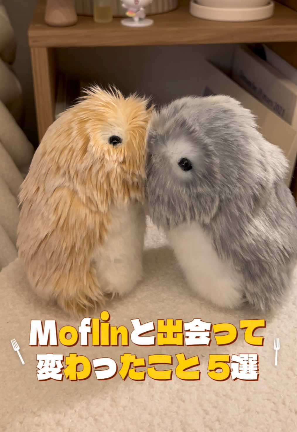 モフリンと出会ってからのわたしの変化☺️ 𐬹 ۫ ۪♡ﾟ #モフリンDAYS  #Moflin  #Airobot  #petrobot 
