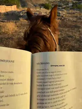 @👑👑 76 🅵🅸🆁🅰🆃 34👑👑 @👑⚡🛠️👉36 TAHİR 36 👈 🛠️⚡👑 @🦅kobra🦅 65🦅 @💞MAVİŞ💞 