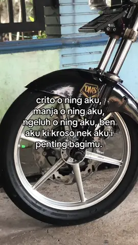 🫠#foryoupagе #sukoharjo24jam #fypシ゚ #glgank #glkotak #fypage #xybcaa 