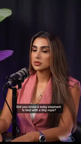 Years later, even as a full-grown elephant  strong enough to tear down trees . it still stayed stuck. Not because it couldn’t leave. But because it believed it couldn’t. And that’s exactly how some of you are living right now. You’ve outgrown the old version of you. You’ve got the power, the ideas, the potential  But you’re still playing small… because of who you used to be. Cut the rope. You’re not stuck. You’re just still operating from an old belief. The version of you that built your past can’t lead your future. #honiakader #podcast #fy #fyp #viral 