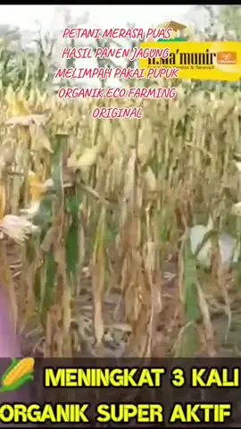 #pupukviral  #distributorpupukecco 