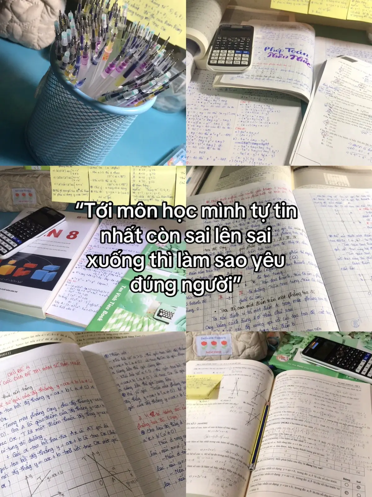 #toan #suphamtoan #hcmue #dongluchoctap #donv1🍀 