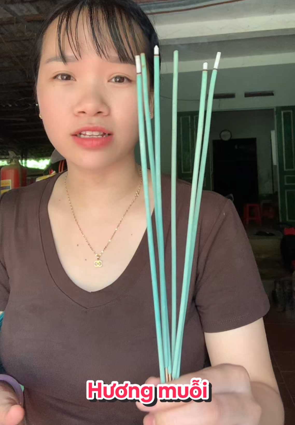 Hạ gục muỗi từ những giây phút đầu tiên chỉ với cây hương muỗi này. Ai chưa biết là thiệt lắm nha #huongmuoi #muoi #huongmuoithaomoc 