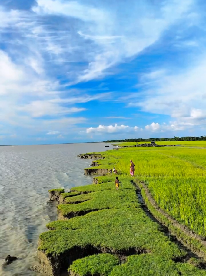 শিল্পীর তুলির সবুজ আঁচড়ে আঁকা গ্রামবাংলার দৃশ্য.🤟  #foryoupage #fyp #viralvideotiktok #village @salmanahmedid@TikTok @TikTok Bangladesh #bdtiktokofficial🇧🇩 