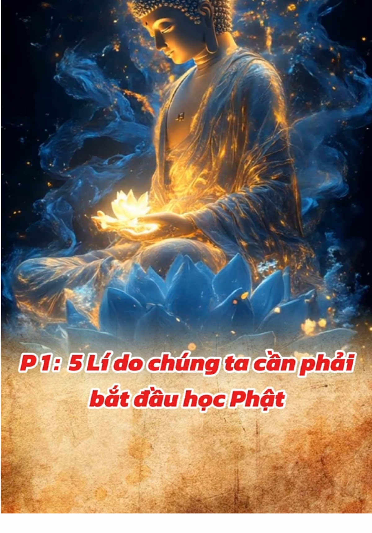 5 Lí do để chúng ta bắt đầu học Phật #tinhphapam #phatphap #phatphapnhiemmau 