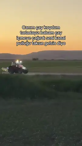 Uçarız😁#masseyferguson #masseyferguson5s125 