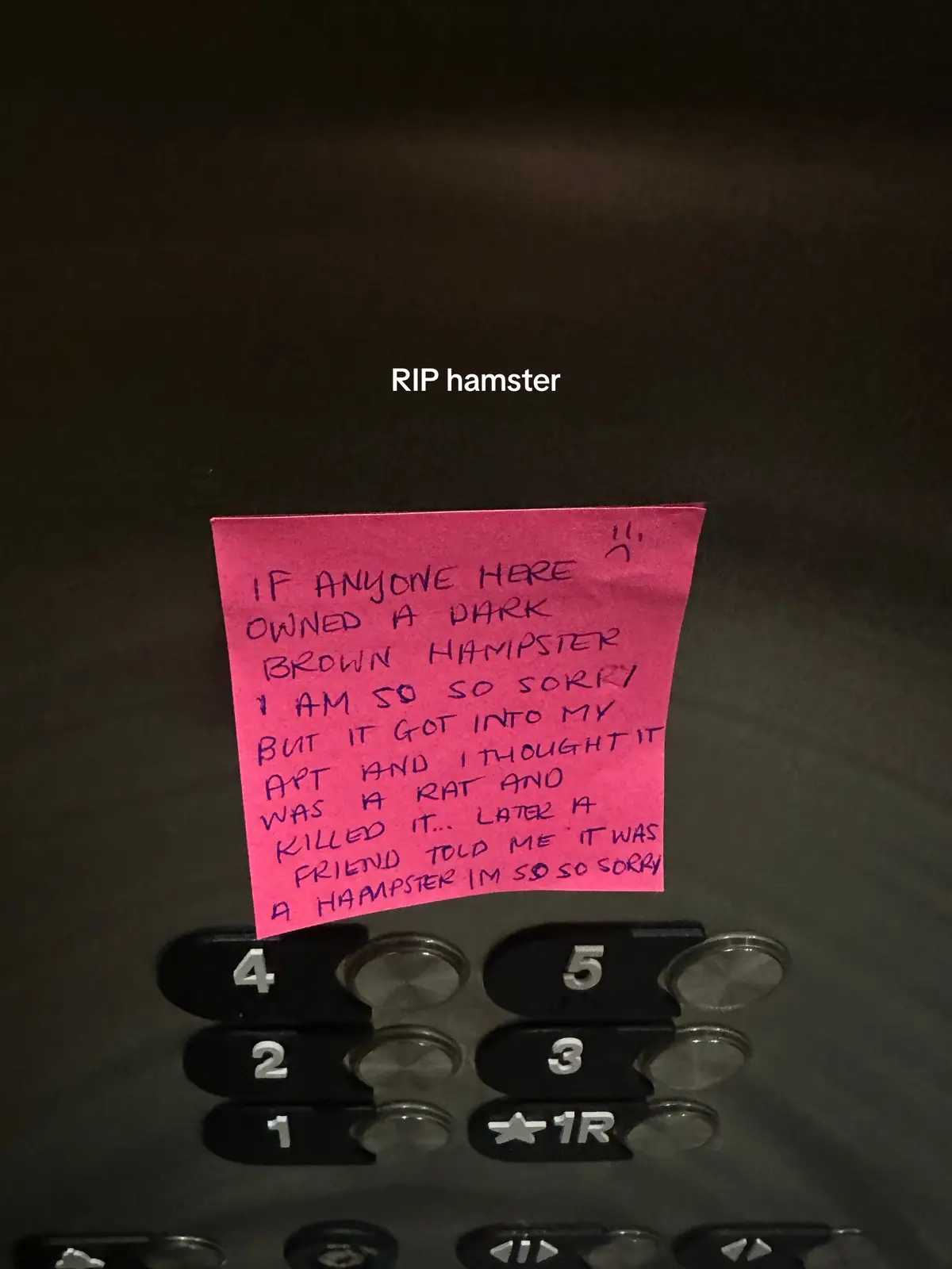 murder mystery in my building #confession #cutepet #horror 