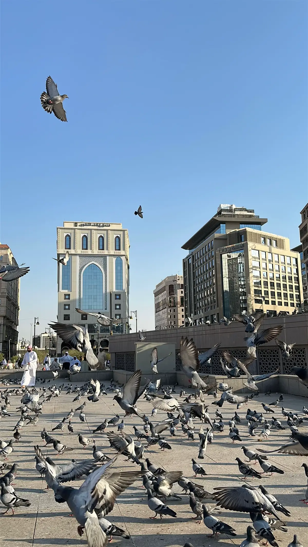 #madina #umroh2025 #masyaalahtabarakaalah #fyp 