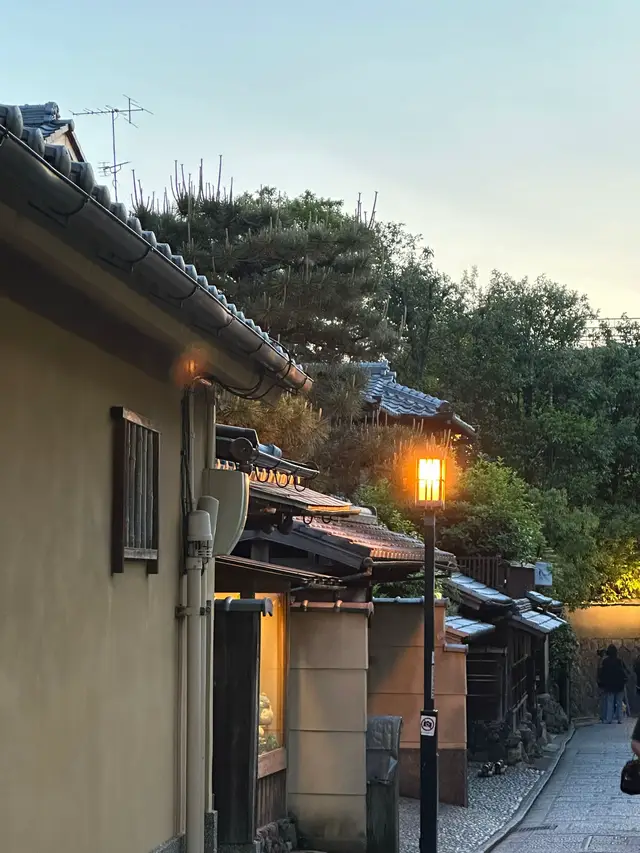 Đời người chỉ gặp một lần nên hãy trân trọng #fyp #viral #kyoto 