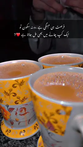#میانوالی_سرائیکی #pleaseunfrezzemyaccount #foryoupage #viralvideo #niazi333 