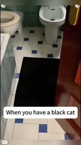 Black cat knows stealth Magic 🪄😸🙀#fpy #catlover #cats #usa_tiktok #catsoftiktok #funnyvideos 