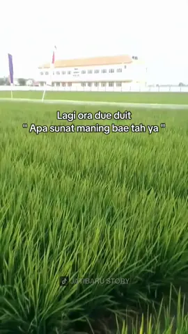 amber akeh sing mai duit.🗿  #jatibarustory    .     #tarling_indramayu_cirebon #storykatakata  #lewatberanda #fyp 