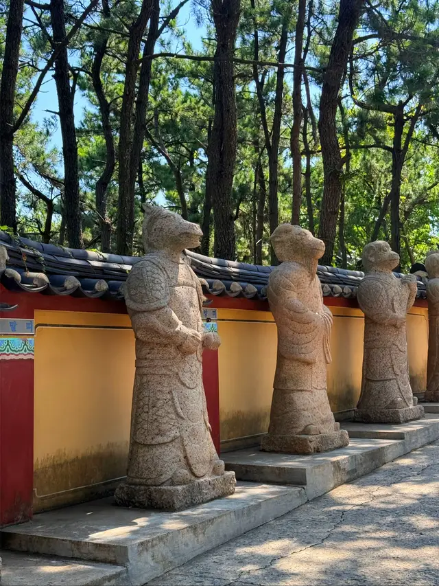 Chùa Haedong Yonggungsa - Ngôi chùa đẹp nhất Hàn Quốc 🇰🇷  해동용궁사 - 한국에서 가장 아름다운 사찰 🇰🇷  #한국 #부산 #해동용궁사 #추천 