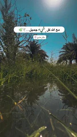 #جزء 291 |#تصويري_احترافي_الاجواء👌🏻🕊😴 #عباراتكم_الفخمه📿📌 #قناتي_تليجرام_بالبايو💕🦋 #لايك_متابعه_اكسبلور_لو_عجبكم 