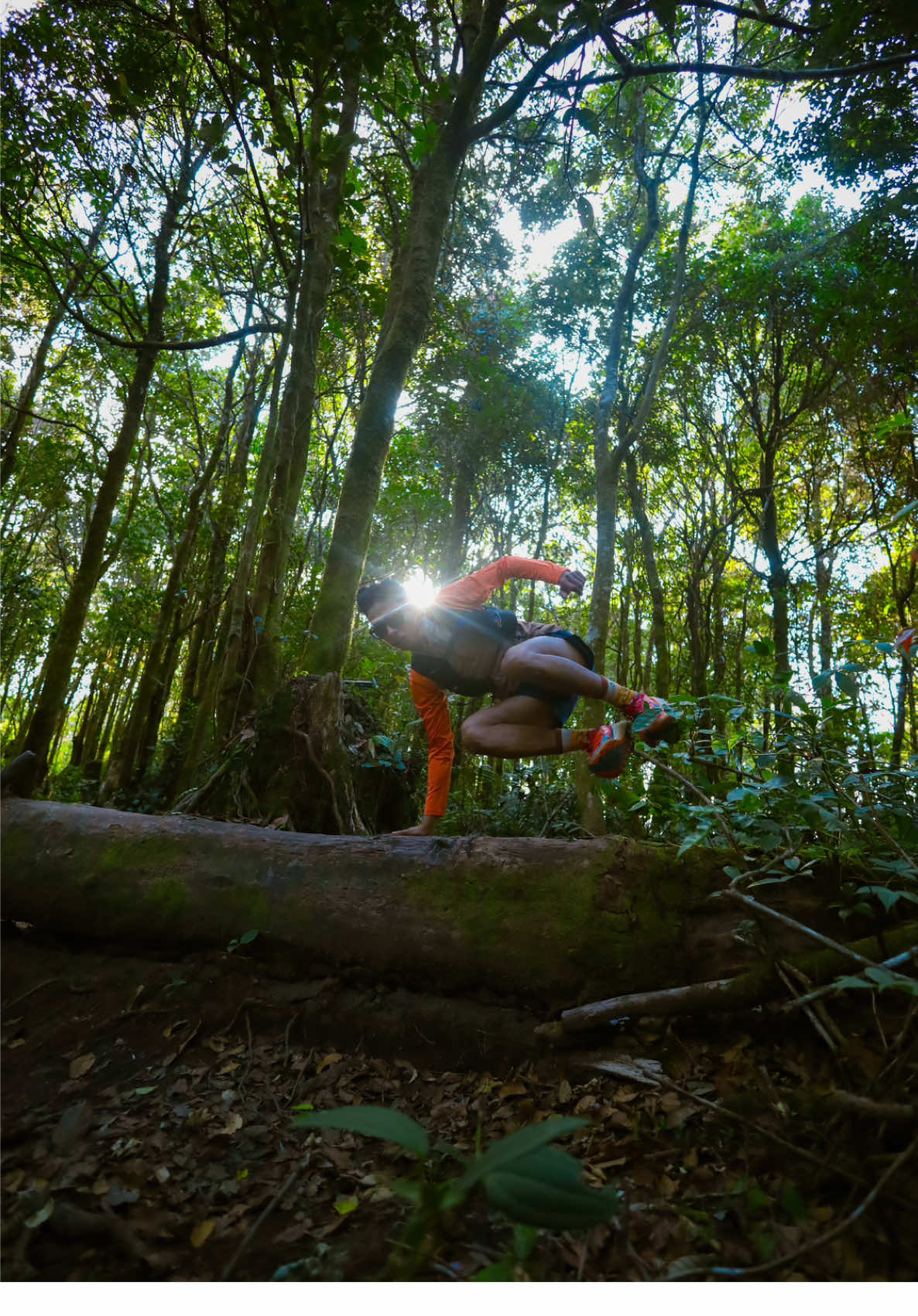A trail run is a type of running done on natural, non-paved surfaces like forest paths, mountain trails, dirt roads, or grassy fields, rather than on roads or tracks. It involves navigating varied, uneven, and often challenging terrain, offering a connection with nature and requiring high focus to maintain balance and avoid injury.