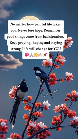 #viral #foryou #creatorsearchinsights #trending #fyp 