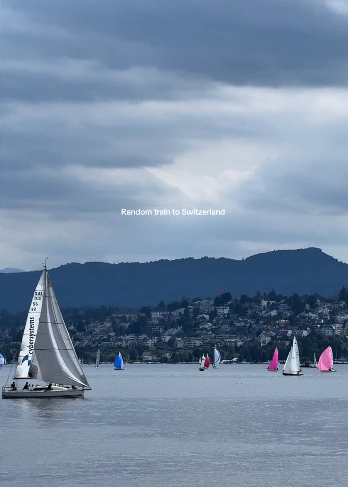 Random train to Switzerland                               #switzerland #zurich #fyp #foryou 