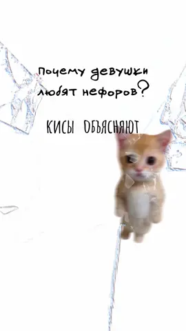 Почему девушки любят нефоров? Кисы объясняют 😻