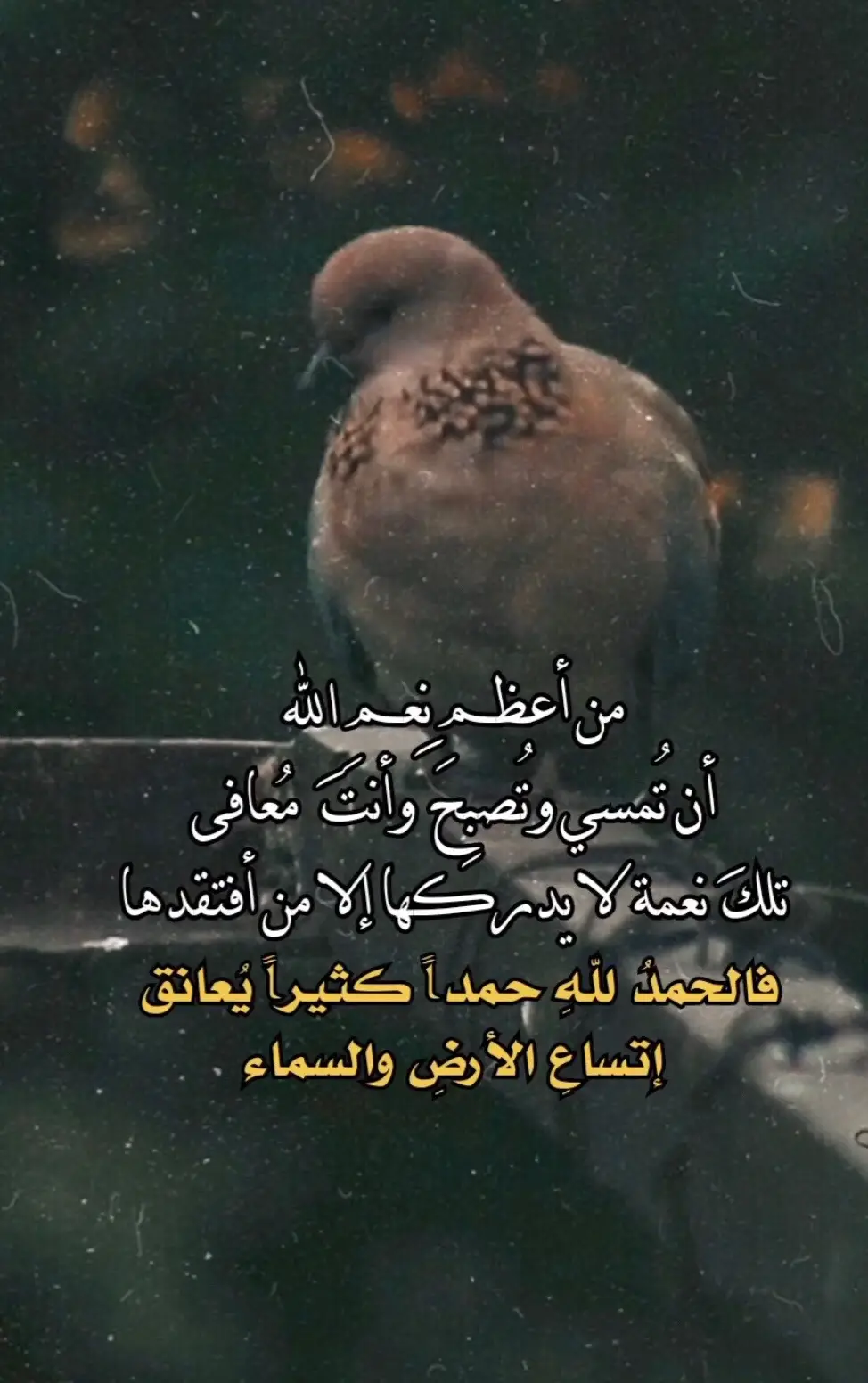 #البصرة 