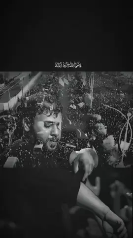 #سيد_فاقد_الموسوي 