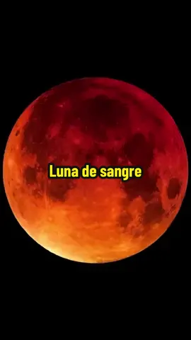 Cuentan que cuando hay luna roja o luna de sangre aumentan los crímenes y la violencia… #luna #misterio #magia #historia #brujeria 