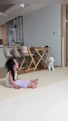 Dogs hate children crying #pet #dog #dogsoftiktok #PetsOfTikTok #funnydogs #dogtok #animals #foryou 