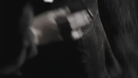 #horse #hermes #luxury #fyp #viral #edit #horsesoftiktok #Wink #dressage #editors 