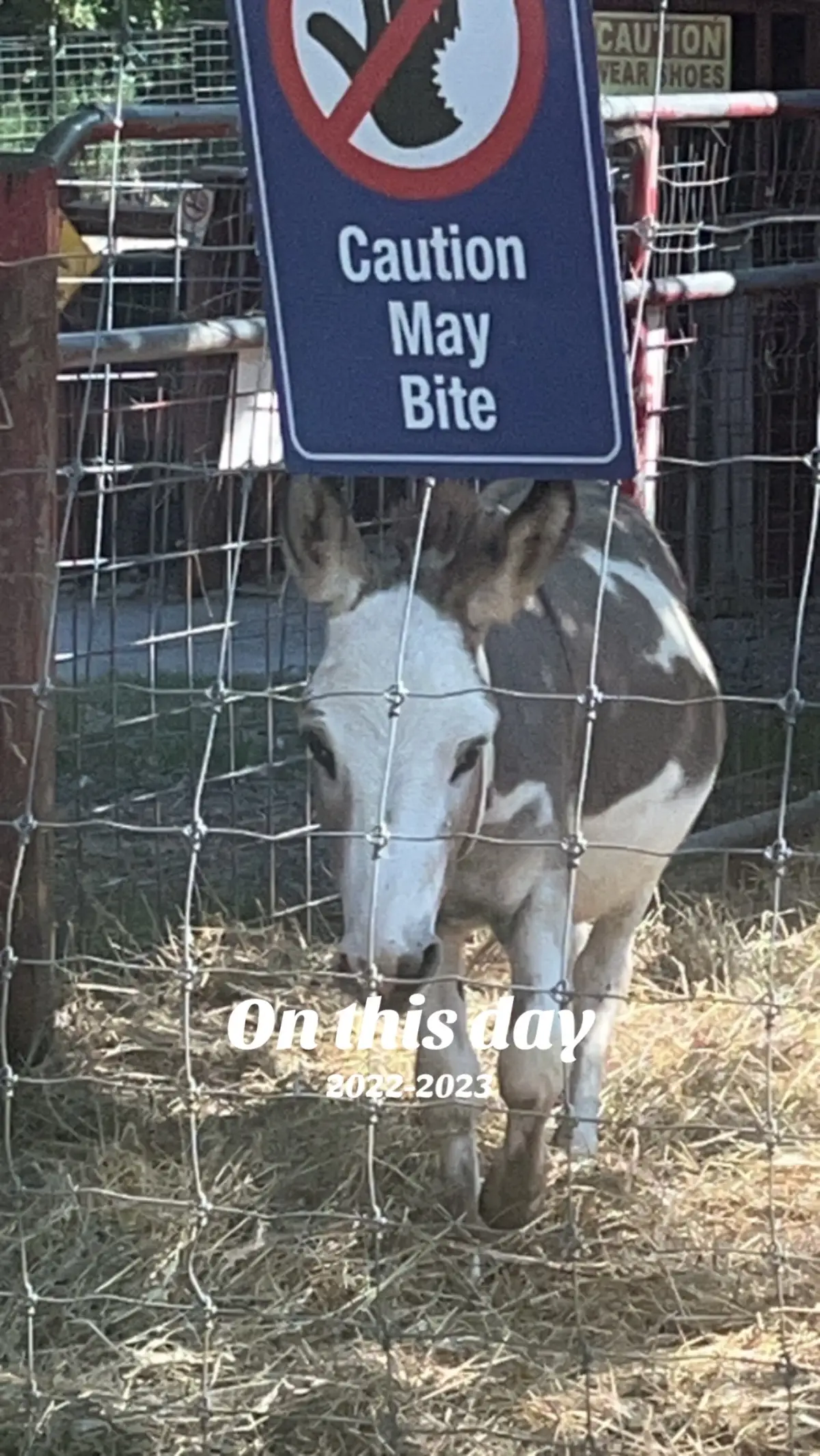 #onthisday 