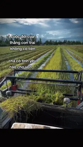 #xhtiktok #tamtrang #fyp #tinhyeu 