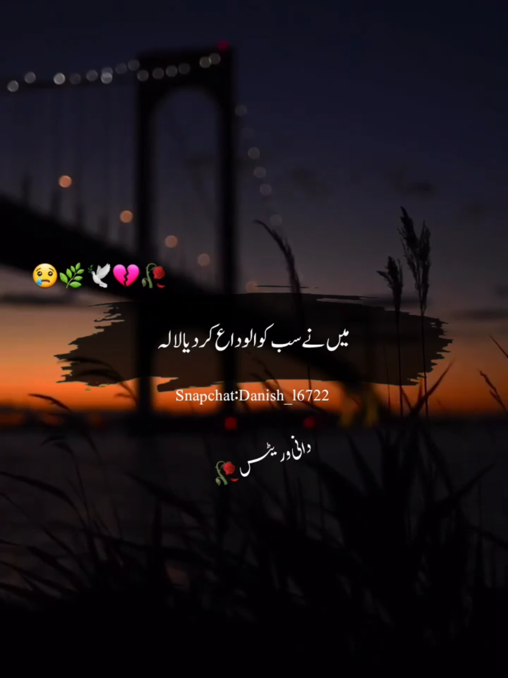 مجھے من پسند چیزوں سے خوف آ تا ہے#fyp #foryou #danimalik6 #standwithkashmir #viral 