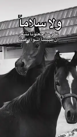 #خيل_وخياله🐎 #خيل_وخياله🐎🖤ماشاءالله_اللهم_بارك🧿♥️ #viral #fyp #اقتباسات 