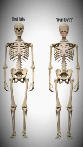 Tên phim: Huyền vũ tứ tượng #hoathinhdieukhac#phimgautrungquoc#fandomgau#Reka 