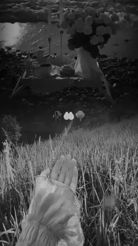 #يارب_فوضت_امري_اليك #خواطر #الشيخاني #fypシ゚viral🖤tiktok☆♡🦋myvideo#🌧️ 