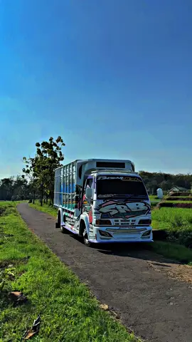 #srbsquad #trucknology #elfmaniacintaindonesia #fypp #trukmaniaindonesia 